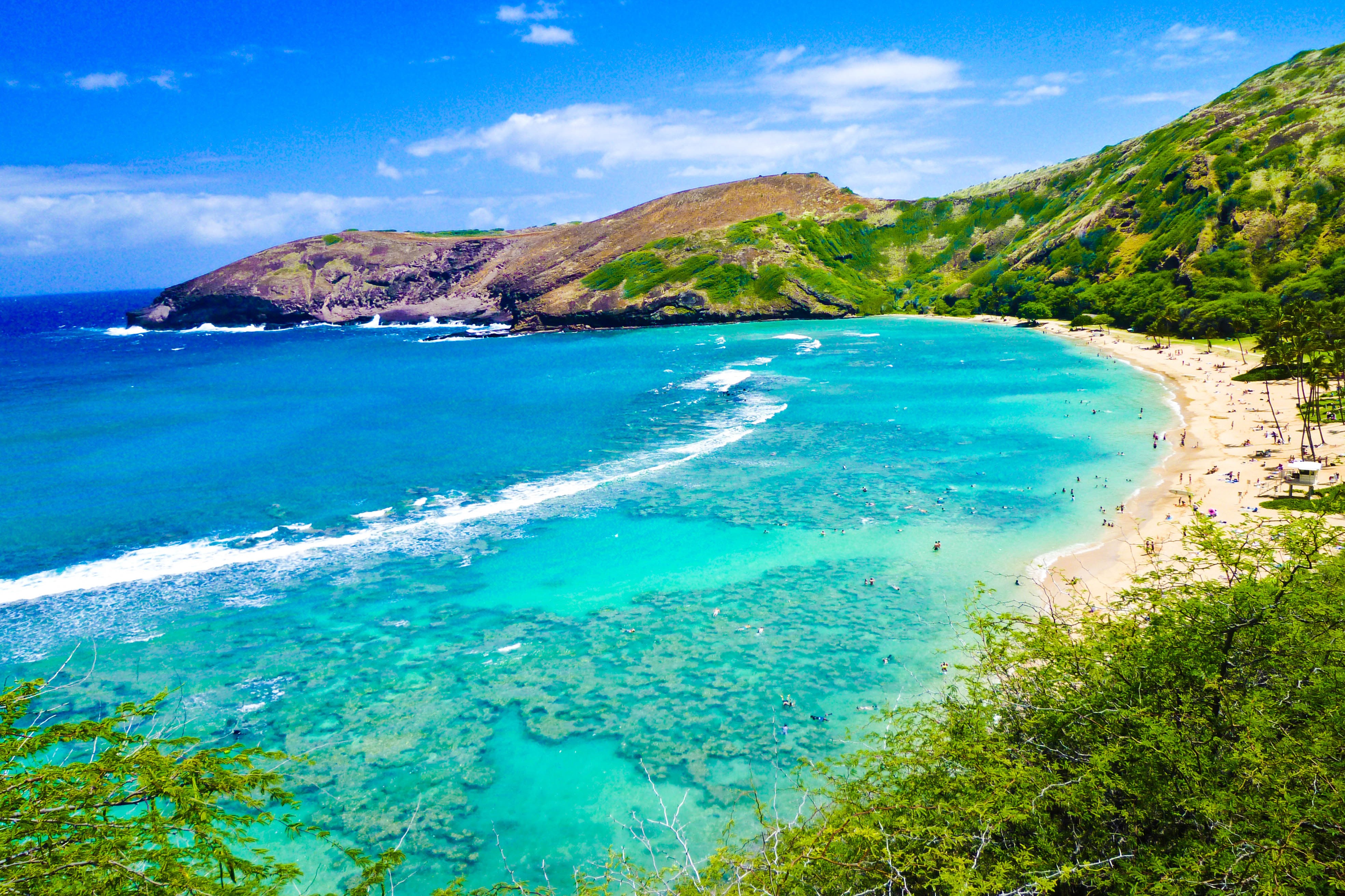 honolulu_hawaii_snorkeling_cove_ocean_real_estate_Reazo